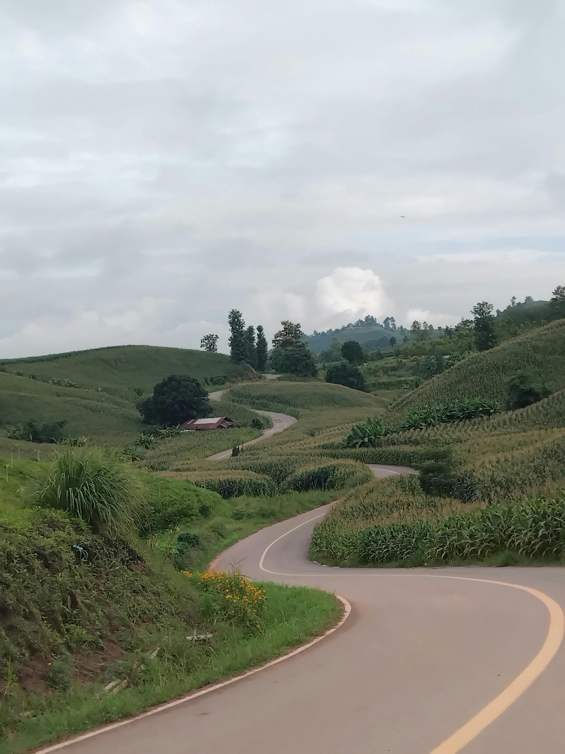 A meandering road cuts through verdant hills under a cloudy sky, offering a tranquil rural landscape.